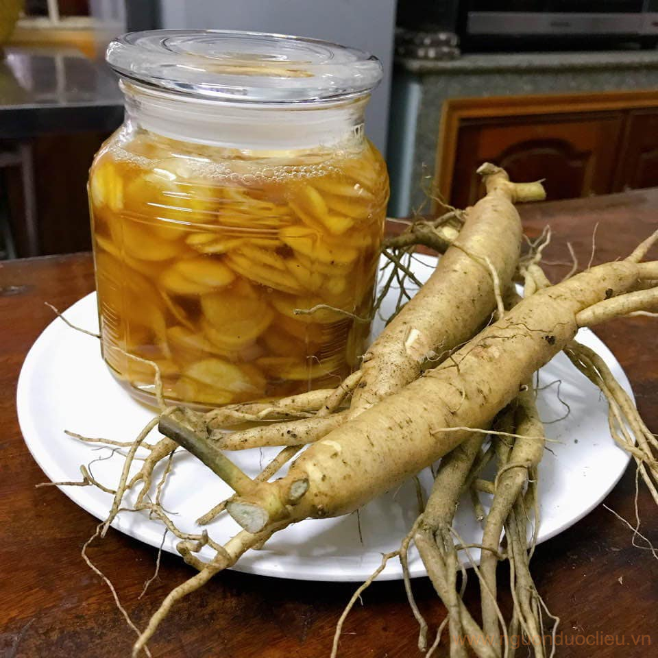 Sâm bố chính ngâm với mật ong