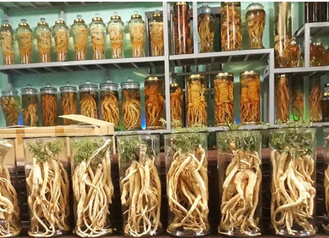 củ đinh lăng đóng bình