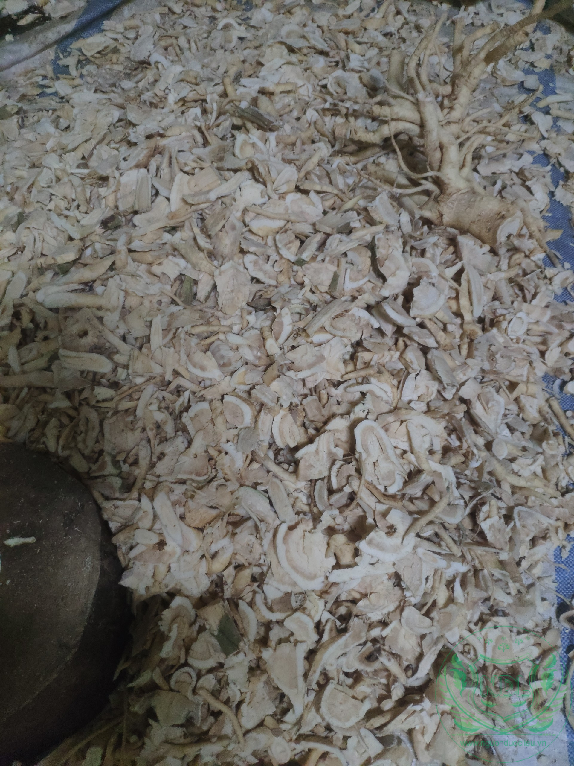 Củ rễ đinh lăng khô - Ảnh 2