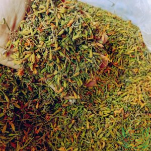 Hoa đu đủ đực sấy khô