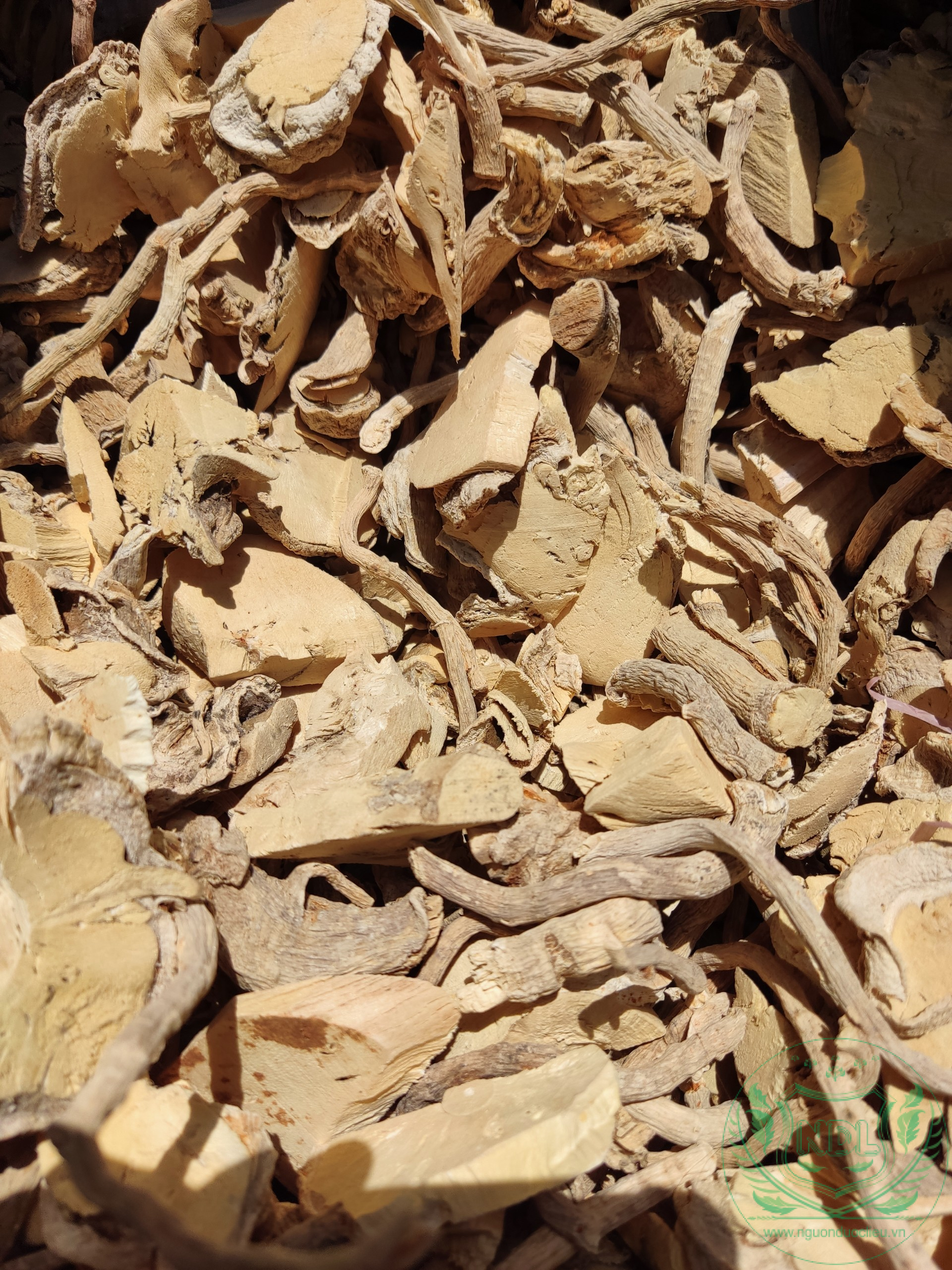 Củ rễ đinh lăng khô - Ảnh 4
