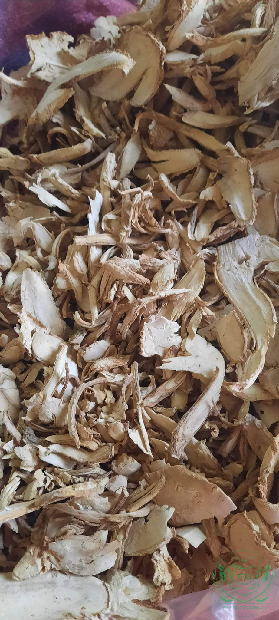 Củ rễ đinh lăng khô - Ảnh 5