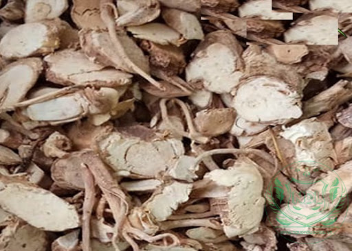 Củ rễ đinh lăng khô - Ảnh 6