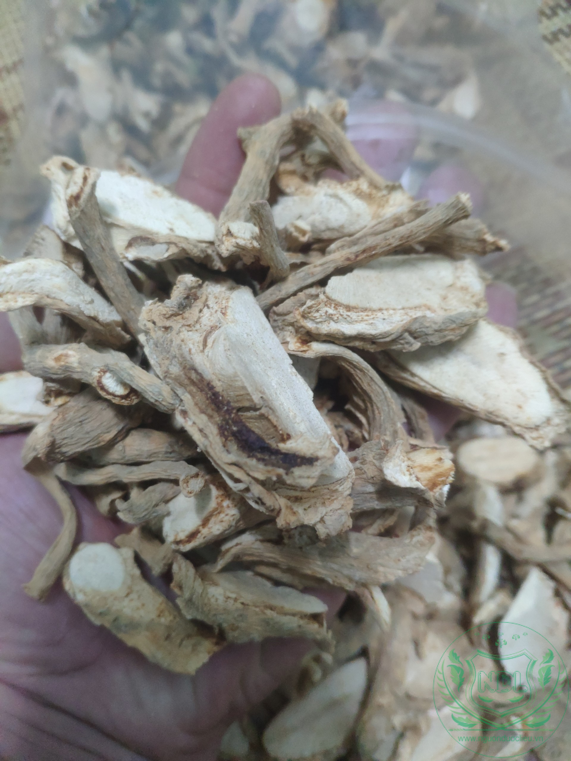 Củ rễ đinh lăng khô - Ảnh 8