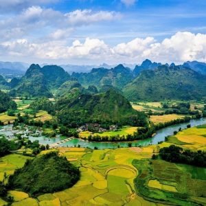 Dược liệu Bắc Bộ