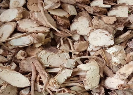 Dễ đinh lăng khô