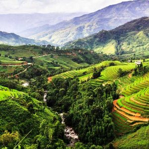 Núi Rừng Tây Nguyên