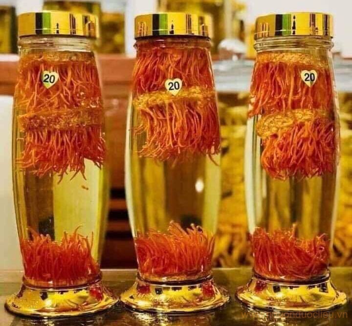 Ngâm rượu đông trùng hạ thảo