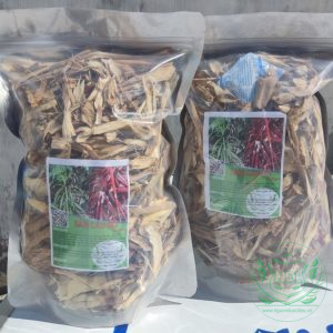 Sâm cau rừng khô nguồn dược liệu