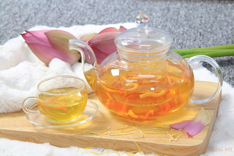 Trà đông trùng hạ thảo