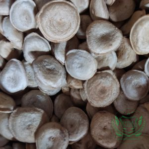 Hạt mã tiền