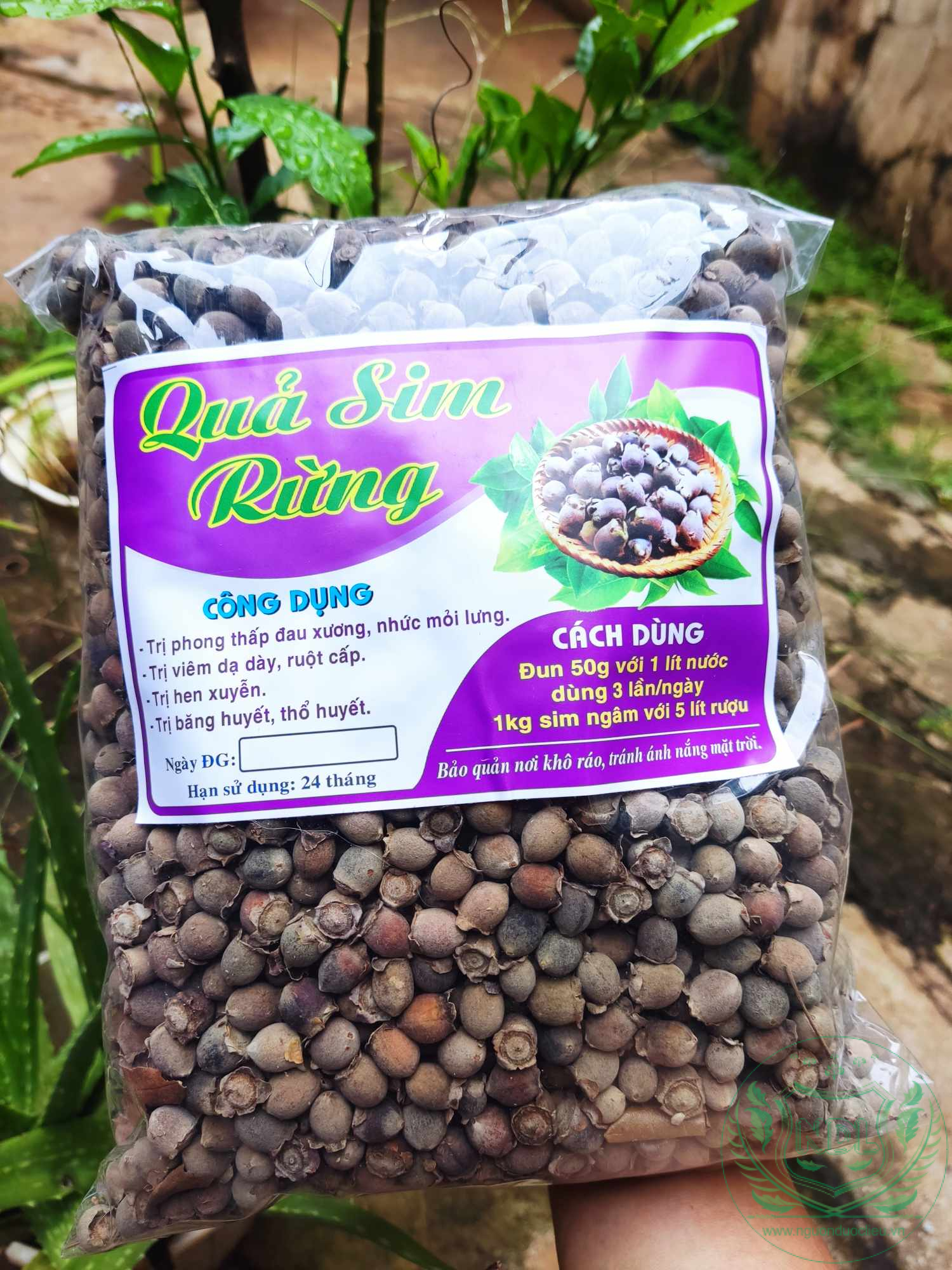 Sim rừng sấy khô cao cấp nguonduoclieu
