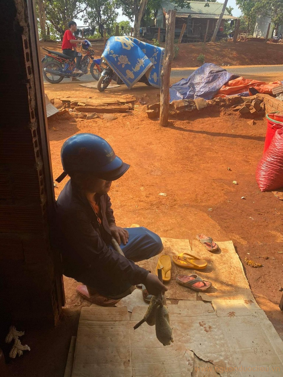 Thu mua mật ong rừng nguyên tổ từ người dân