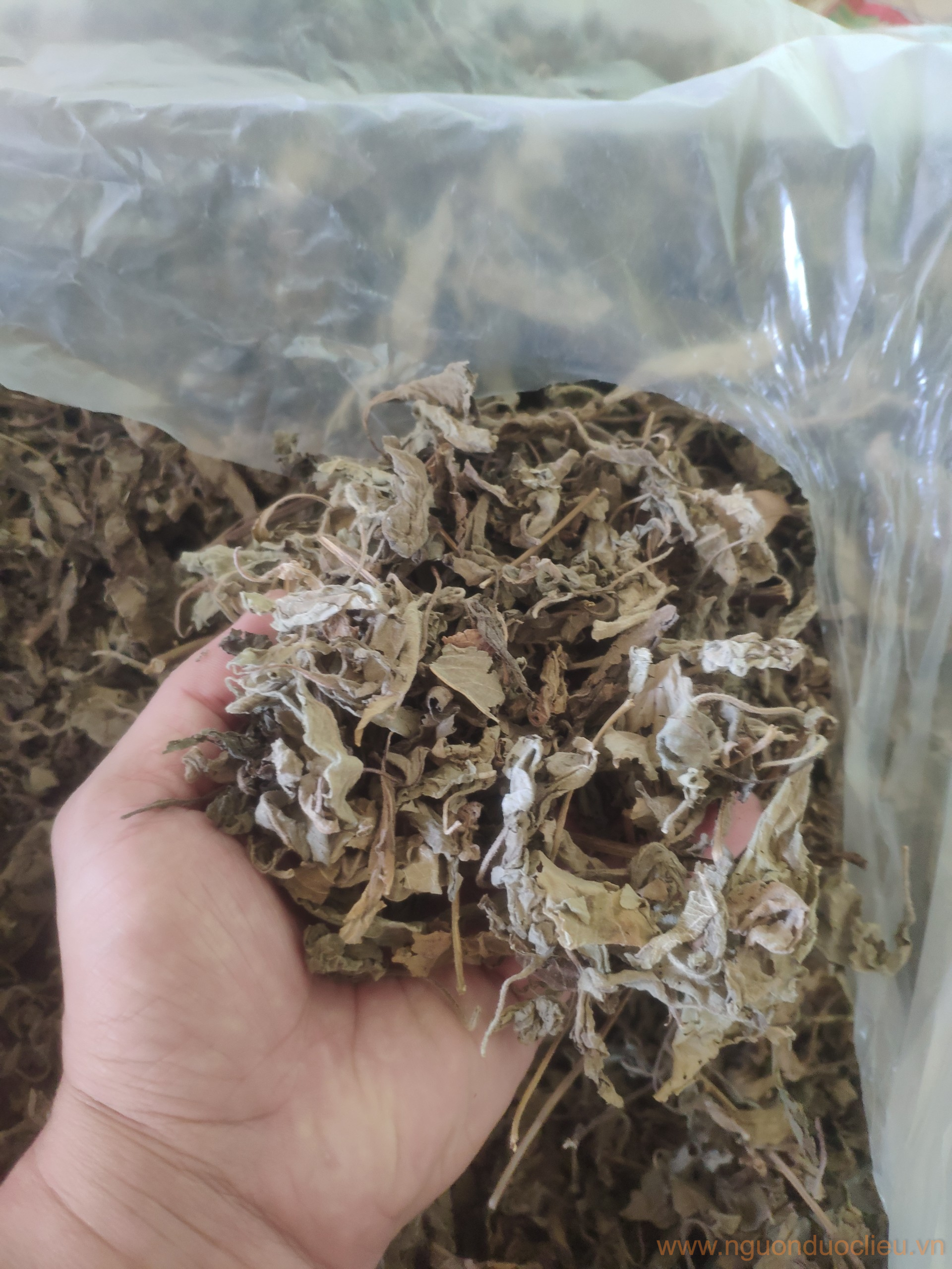 Lá xông hơi thảo mộc thiên nhiên - Ảnh 3