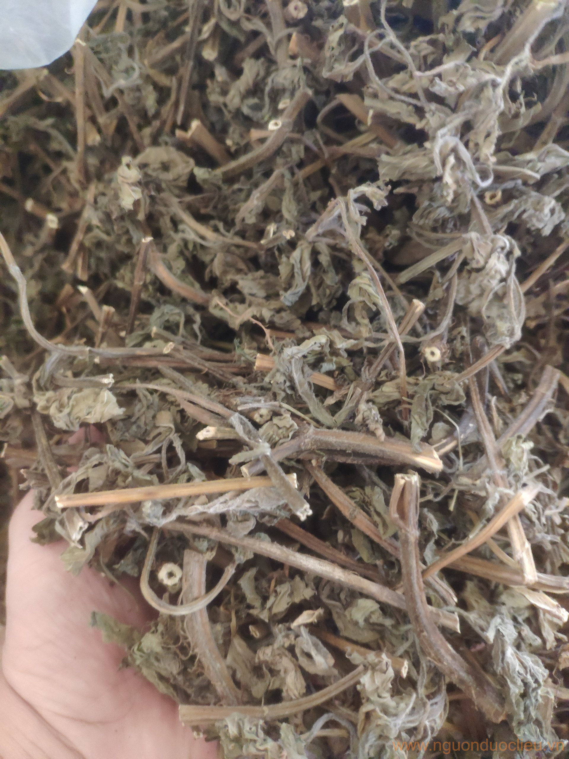 Lá xông hơi thảo mộc thiên nhiên - Ảnh 8