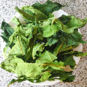Lá cây đu đủ đực sấy khô