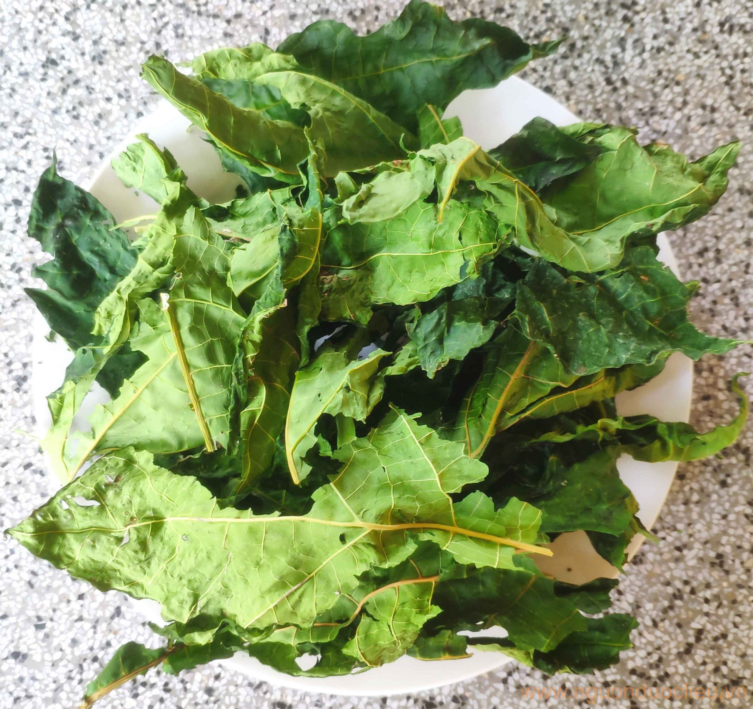 Lá cây đu đủ đực sấy khô