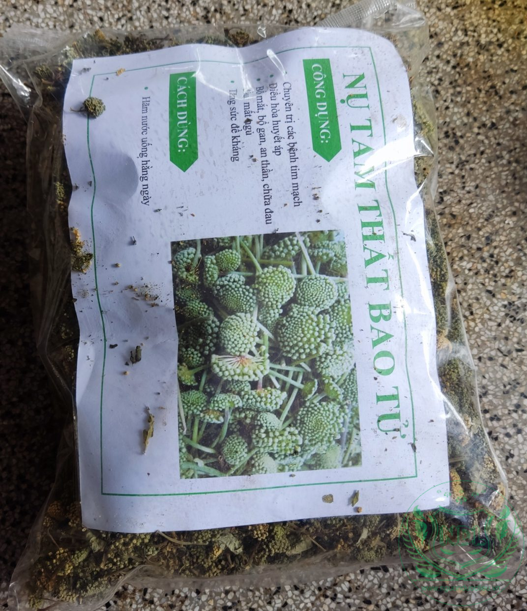 Nụ tam thất bao tử - Ảnh 2