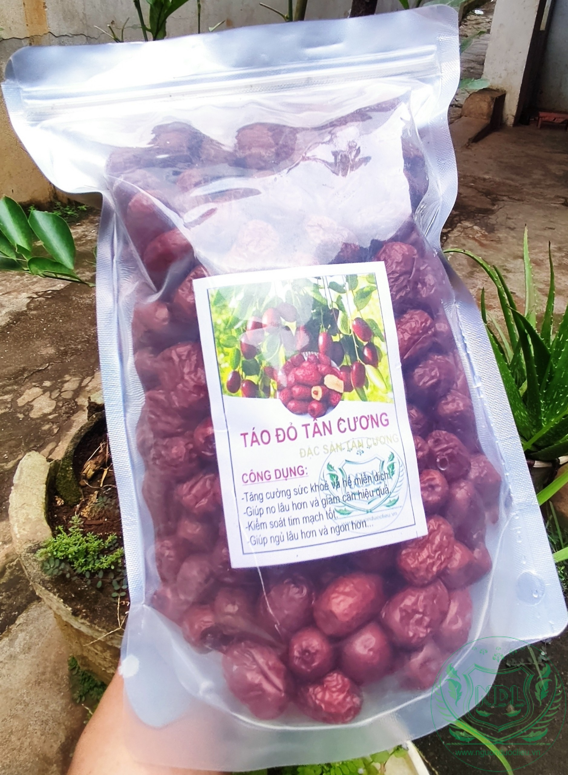 Táo đỏ tân cương khô cao cấp nguonduoclieu