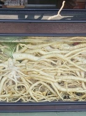 bể đinh lăng 600L 03/07/2022