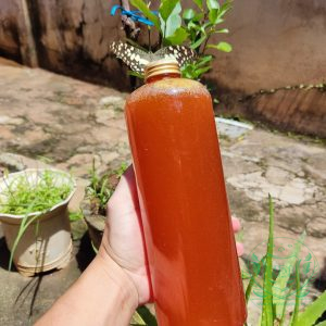 Đóng chai mật ong rừng nguyên chất nguonduoclieu