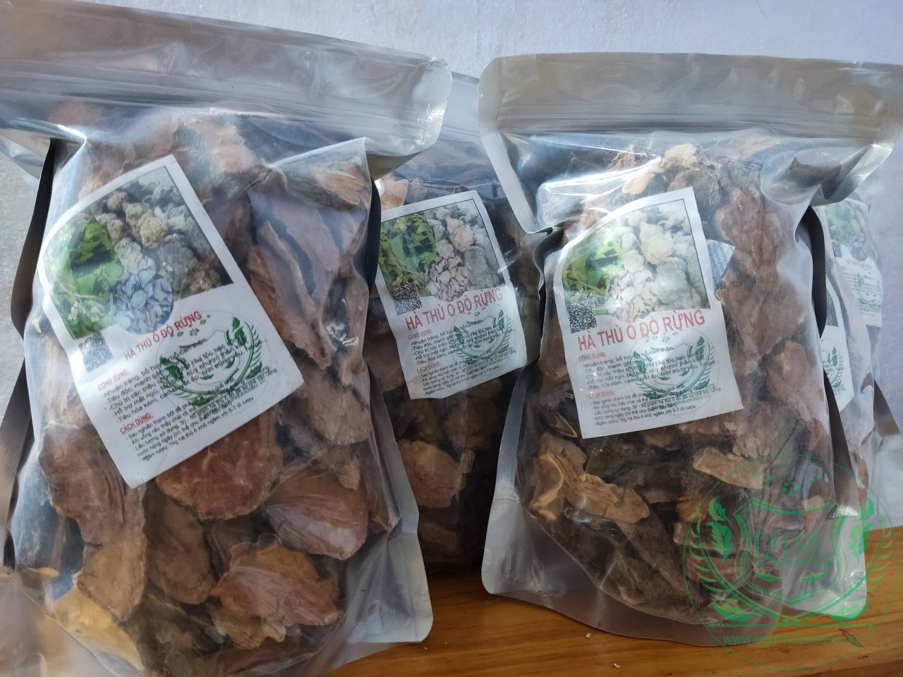 Hà thủ ô đỏ rừng khô nguồn dược liệu