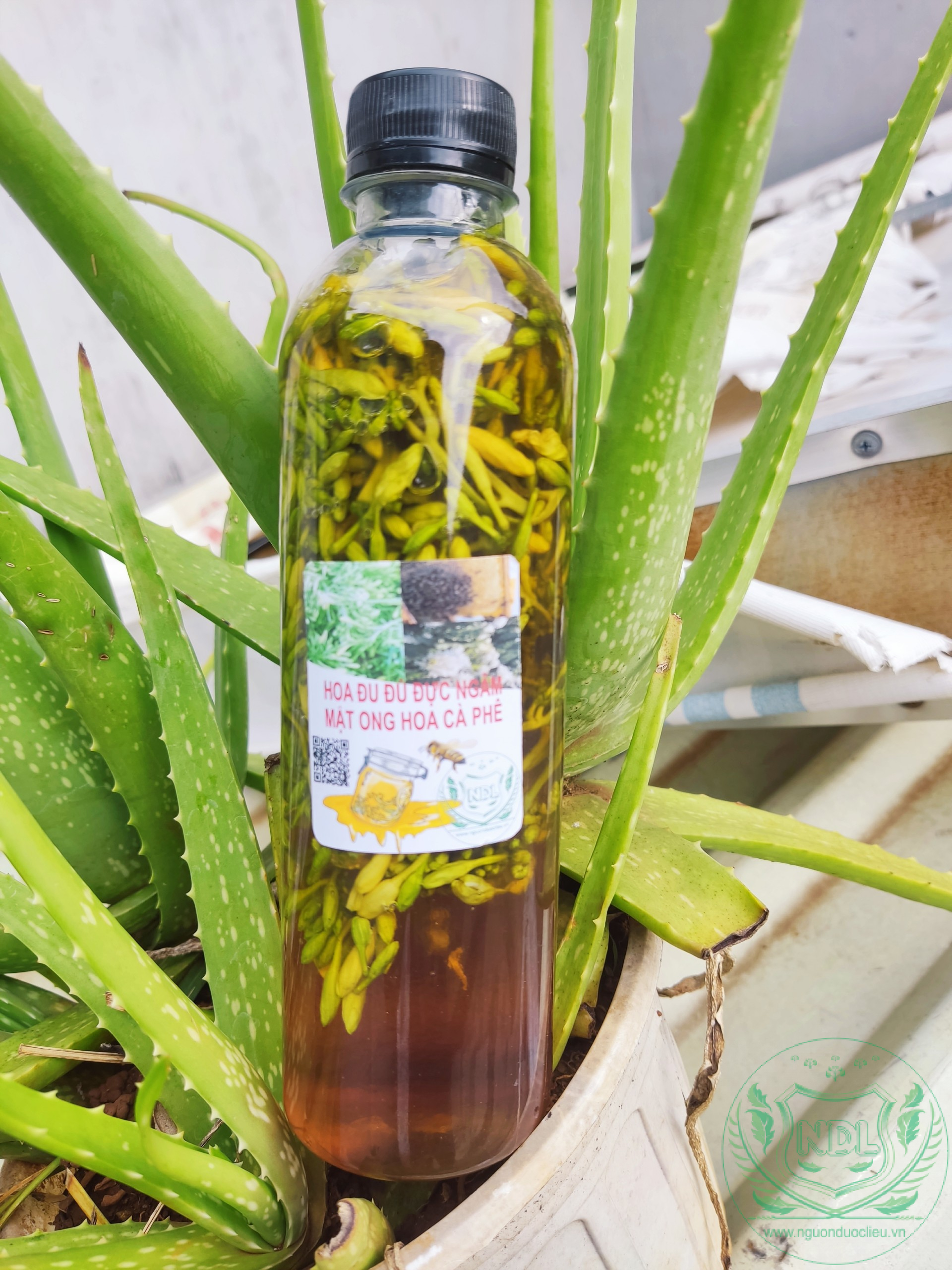 Hoa đu đủ đực tươi ngâm mật ong nguyên chất hoa cà phê tây nguyên