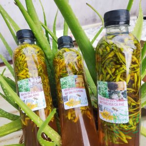 Hoa đu đủ đực ngâm mật ong nguyên chất Tây Nguyên