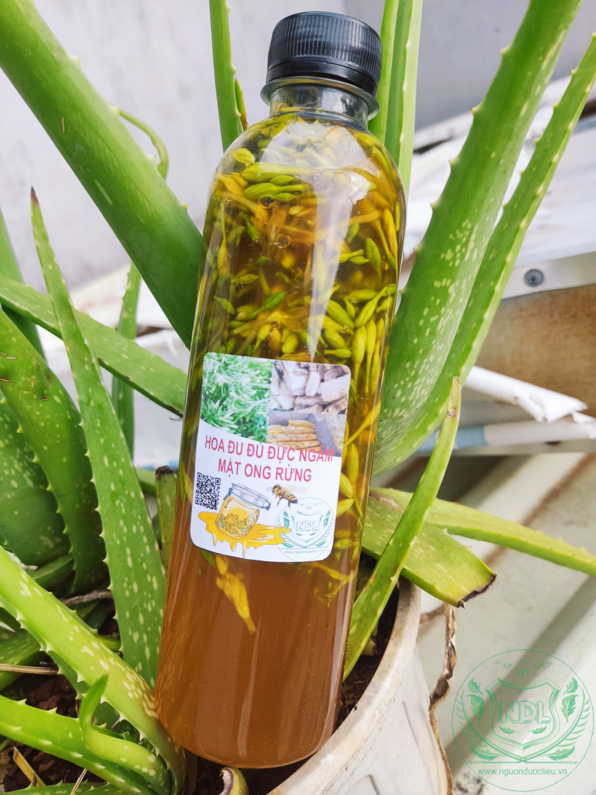 Hoa đu đủ đực tươi ngâm mật ong rừng tây nguyên