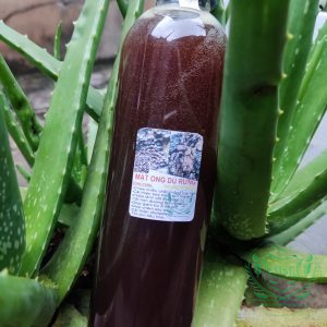 500ml mật ong dú rừng nguyên chất tự nhiên Tây Nguyên