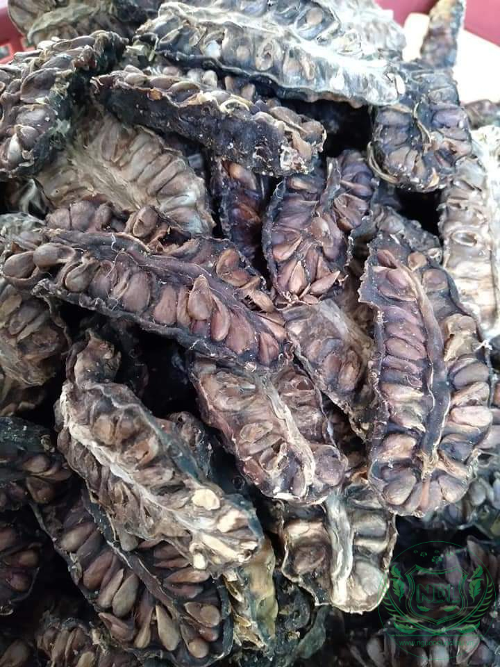 Trái nhau khô Tây Nguyên