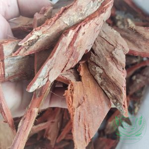 Vỏ cây gạo khô rừng tây nguyên